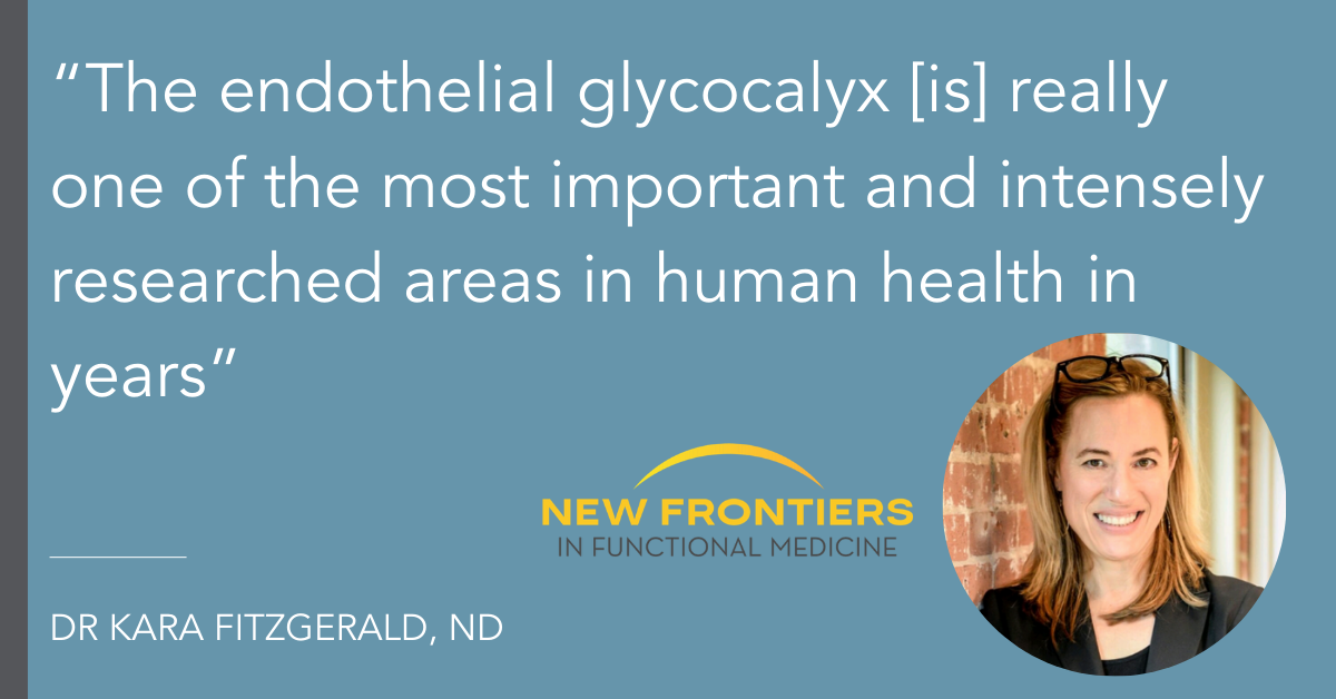 "The endothelial glycocalyx is really one of the most important and intensely researched areas in human health in years." --Dr Fitzgerald